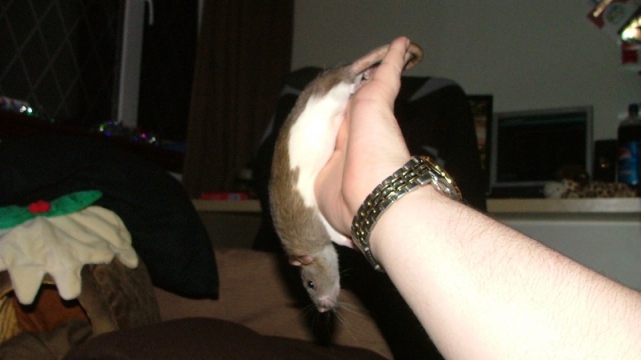 dscf6775.jpg