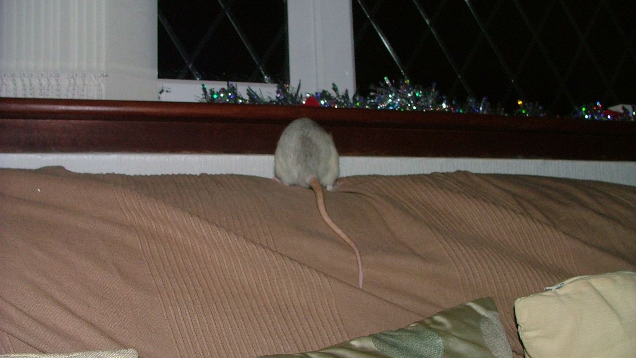 DSCF6756.JPG