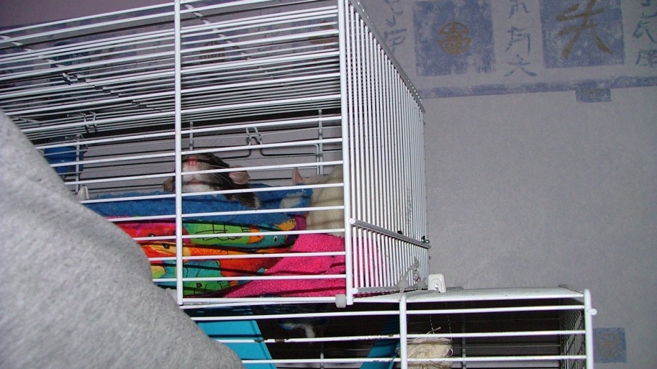 DSCF3868.JPG