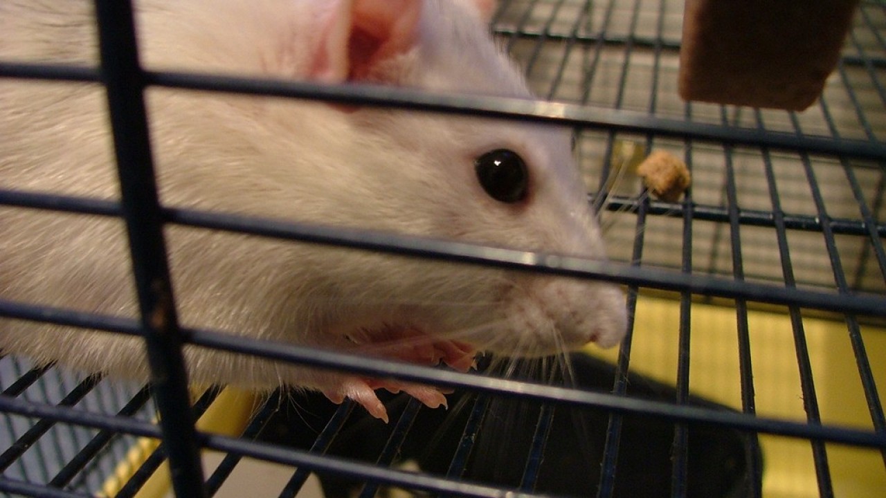 DSCF2622.JPG