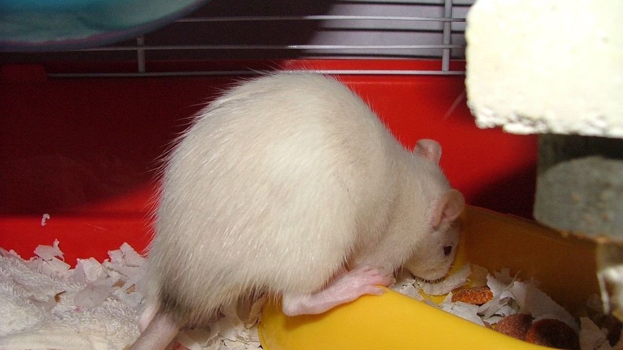 DSCF3866.JPG