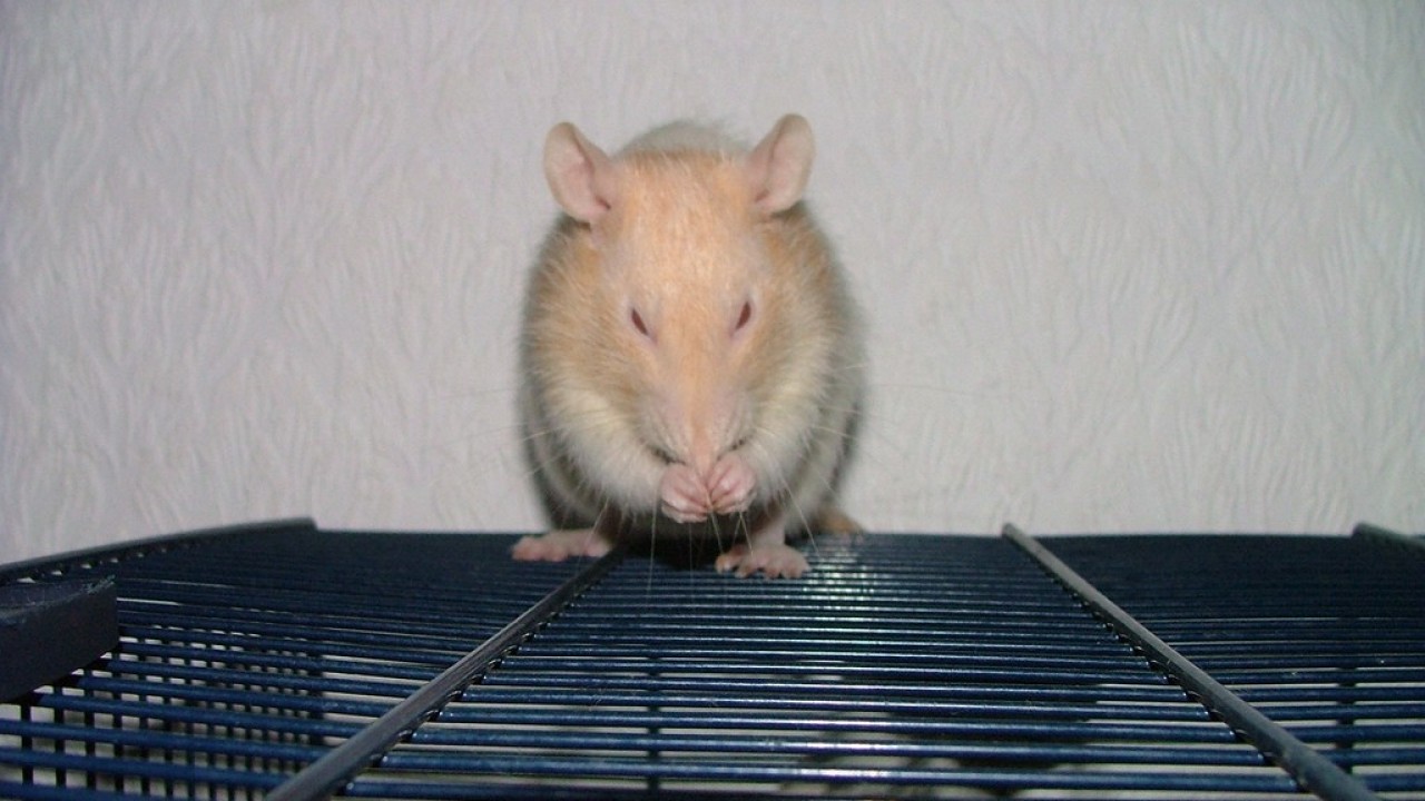 DSCF3678.JPG