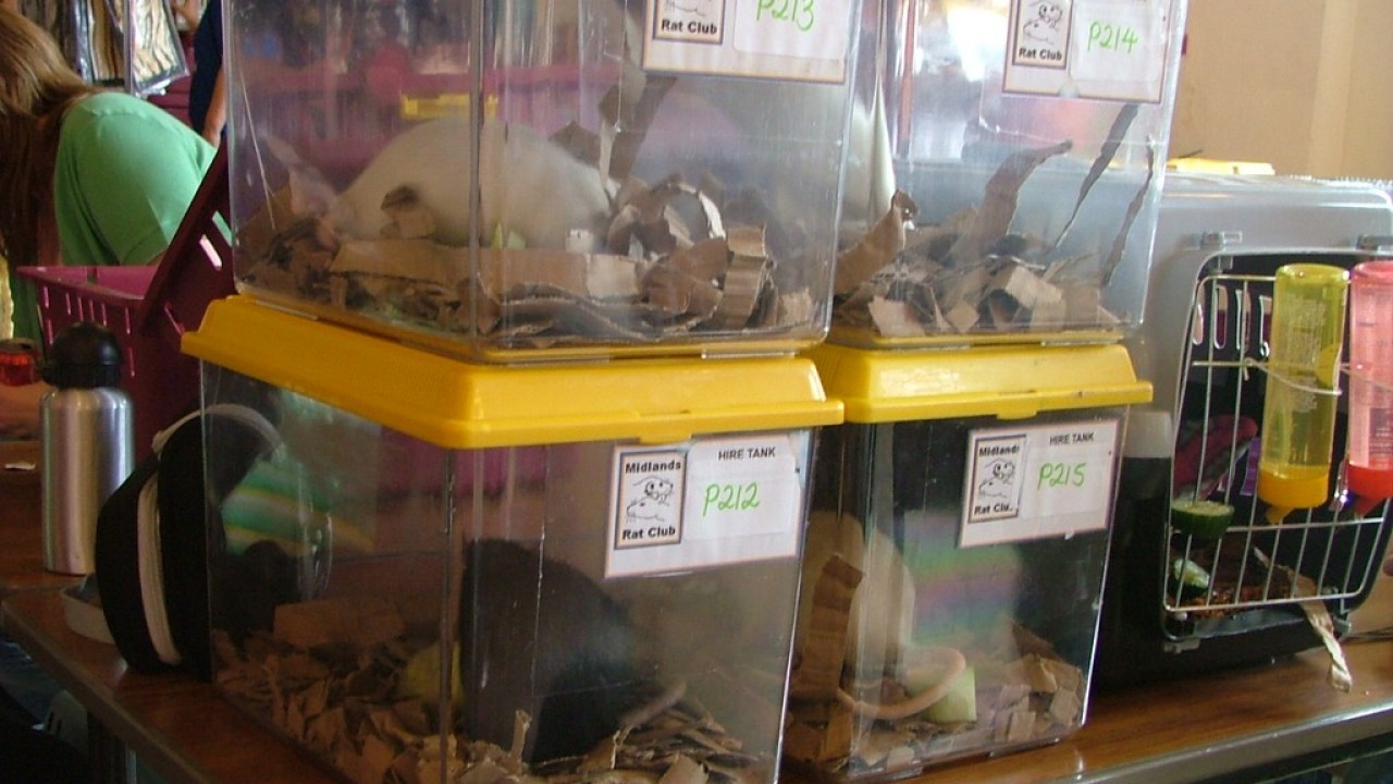 DSCF4183.JPG