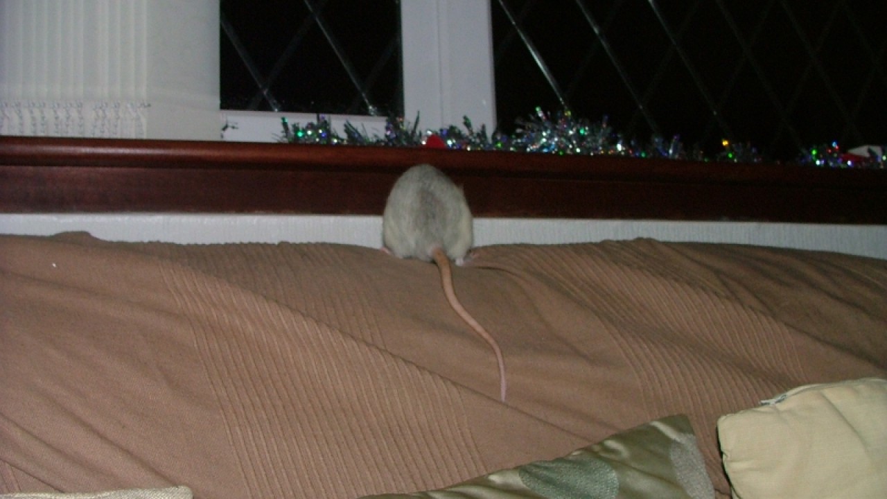dscf6756.jpg