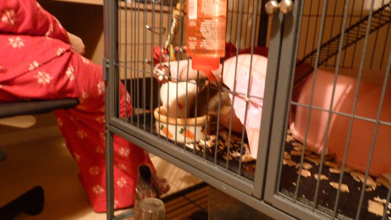 P1000816.JPG
