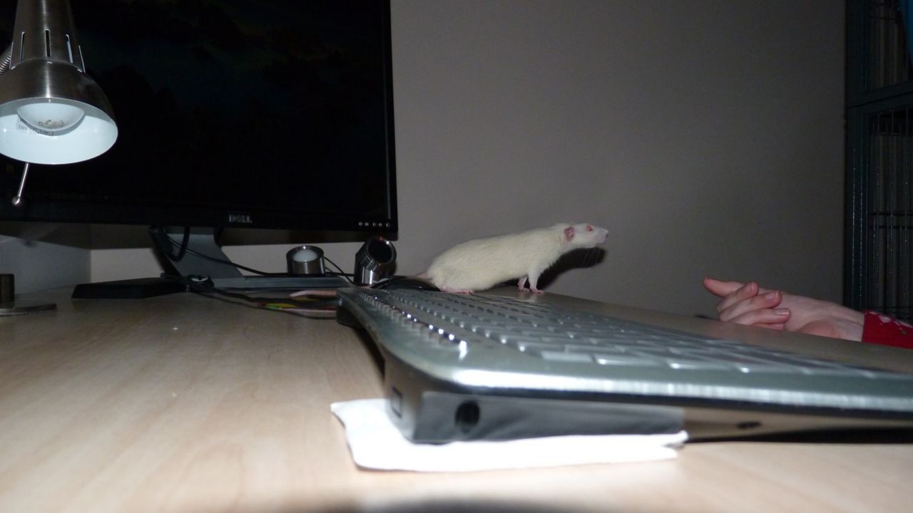 P1000886.JPG