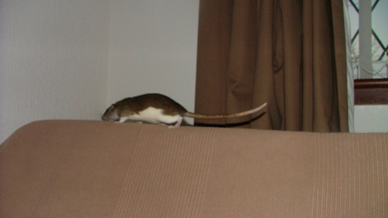 dscf6914.jpg