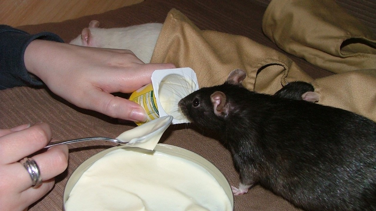 DSCF4729.JPG