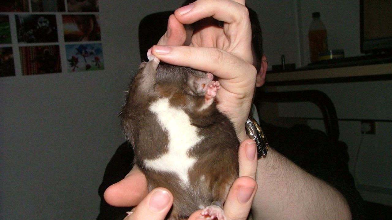 DSCF3890.JPG