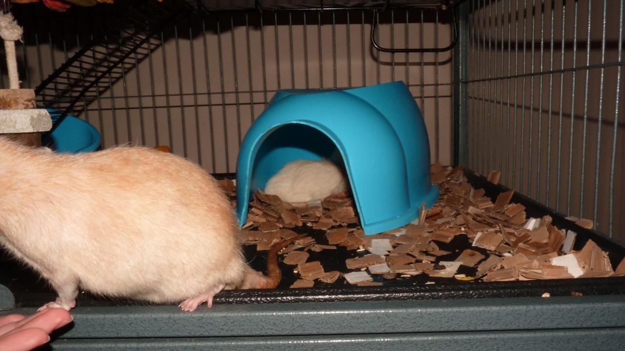 P1000845.JPG