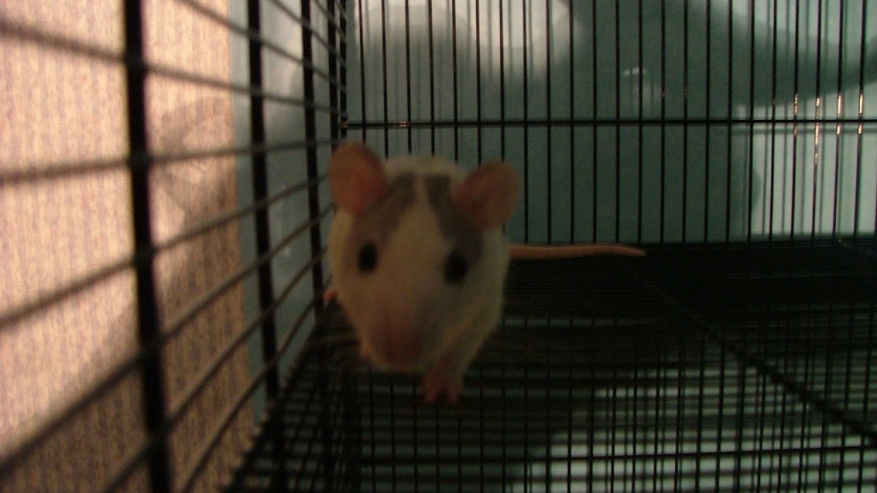 DSCF1509.JPG