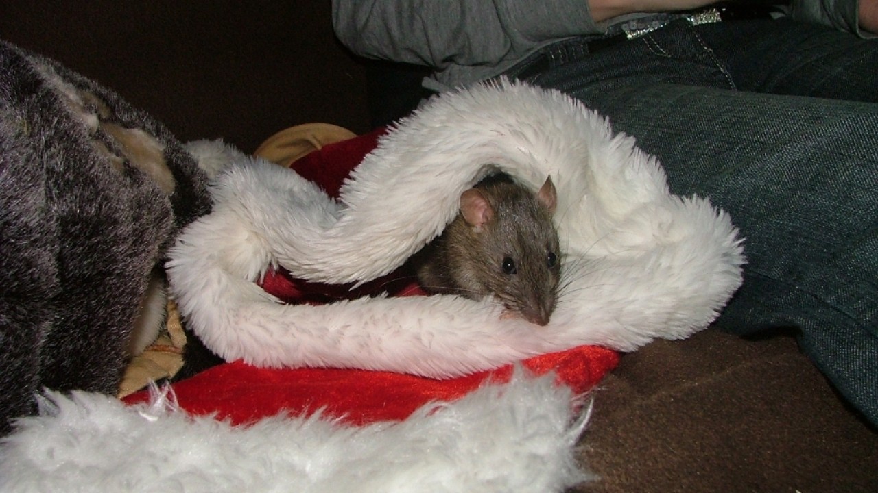 dscf5786.jpg